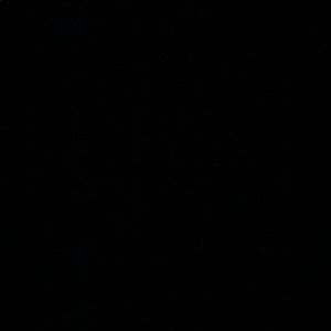 Meet your Posher, Alexia